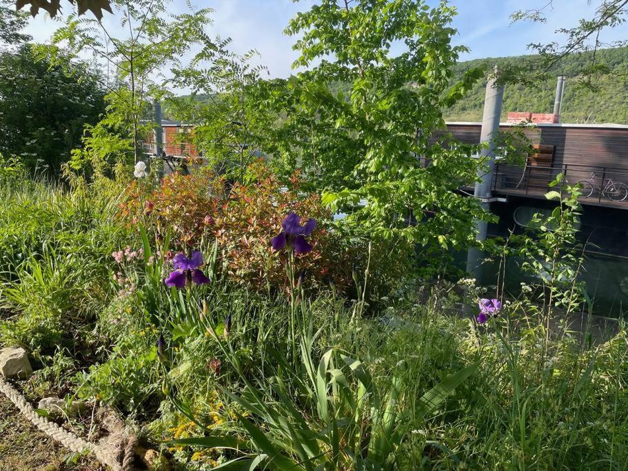 Maison Fleurs De Lys, Climatisee, Wifi Et Parking Privee Gratuit, Lave-Linge, Vernon Giverny Εξωτερικό φωτογραφία